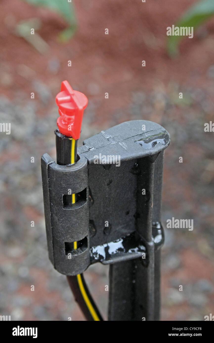 Microjet Sprinkler For Water Irrigation, India Stock Photo Alamy