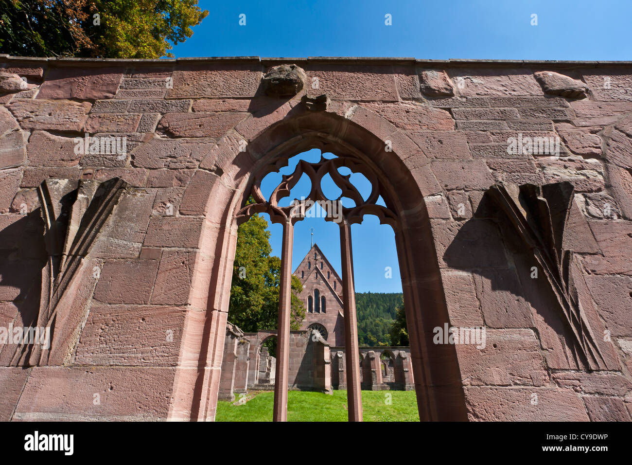 HIRSAU ABBEY, RUIN, IN THE PAST St. PETER AND PAUL ABBEY, NEAR CALW, BLACK FOREST, BADEN-WUERTTEMBERG, GERMANY Stock Photo