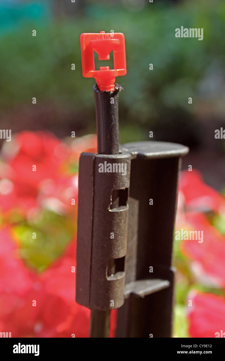 Microjet Sprinkler For Water Irrigation, India Stock Photo Alamy