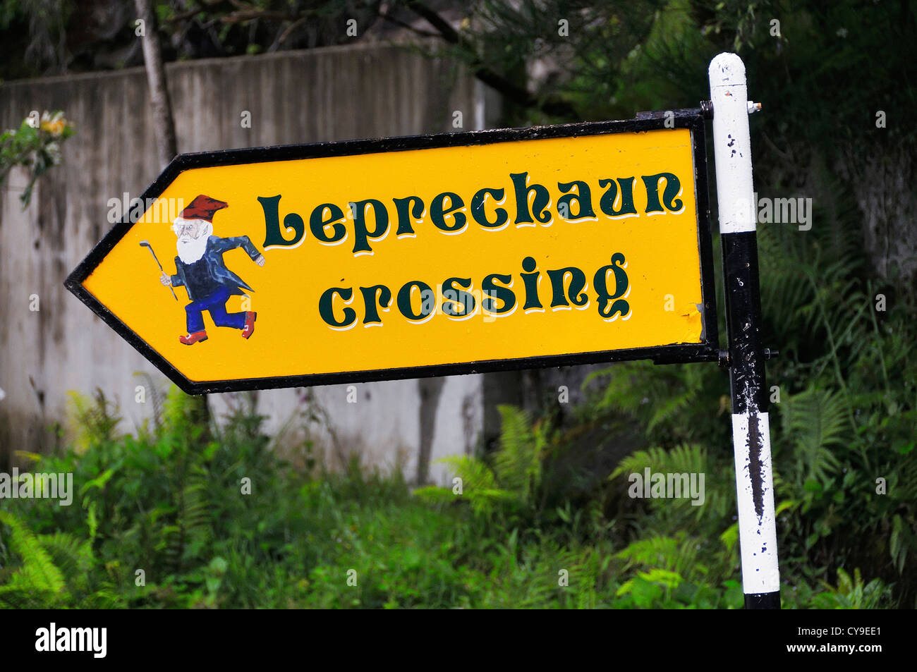 leprechaun-crossing-at-the-ladies-view-pub-killarney-national-park-CY9EE1.jpg