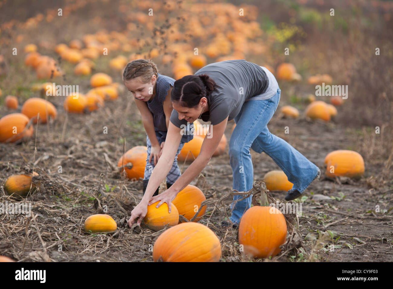 Mother and daughter picking pumpkins, pickyourown farm in upstate New York, Mohawk Valley
