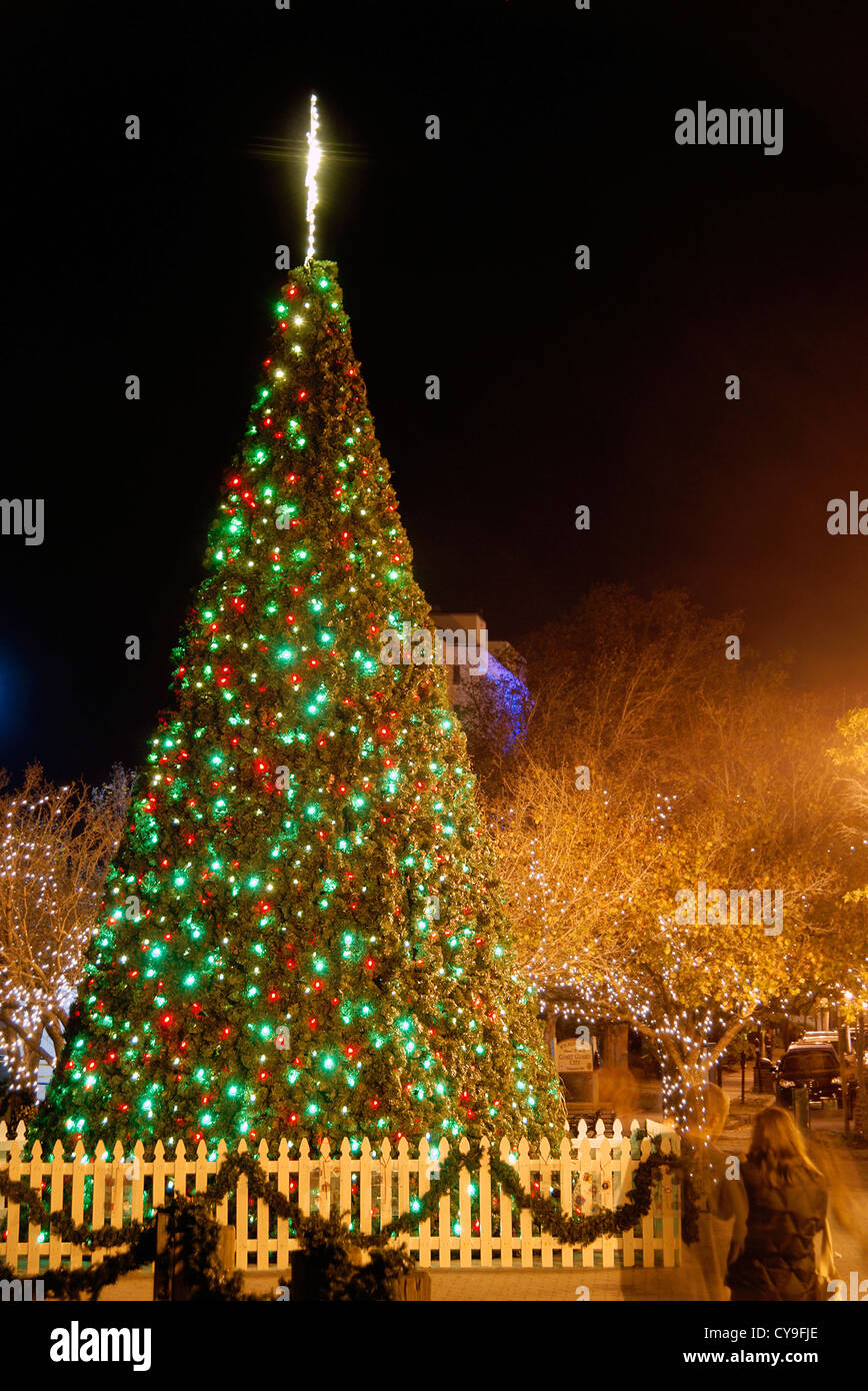 Wilmington, North Carolina. Christmas tree in downtown at night Stock