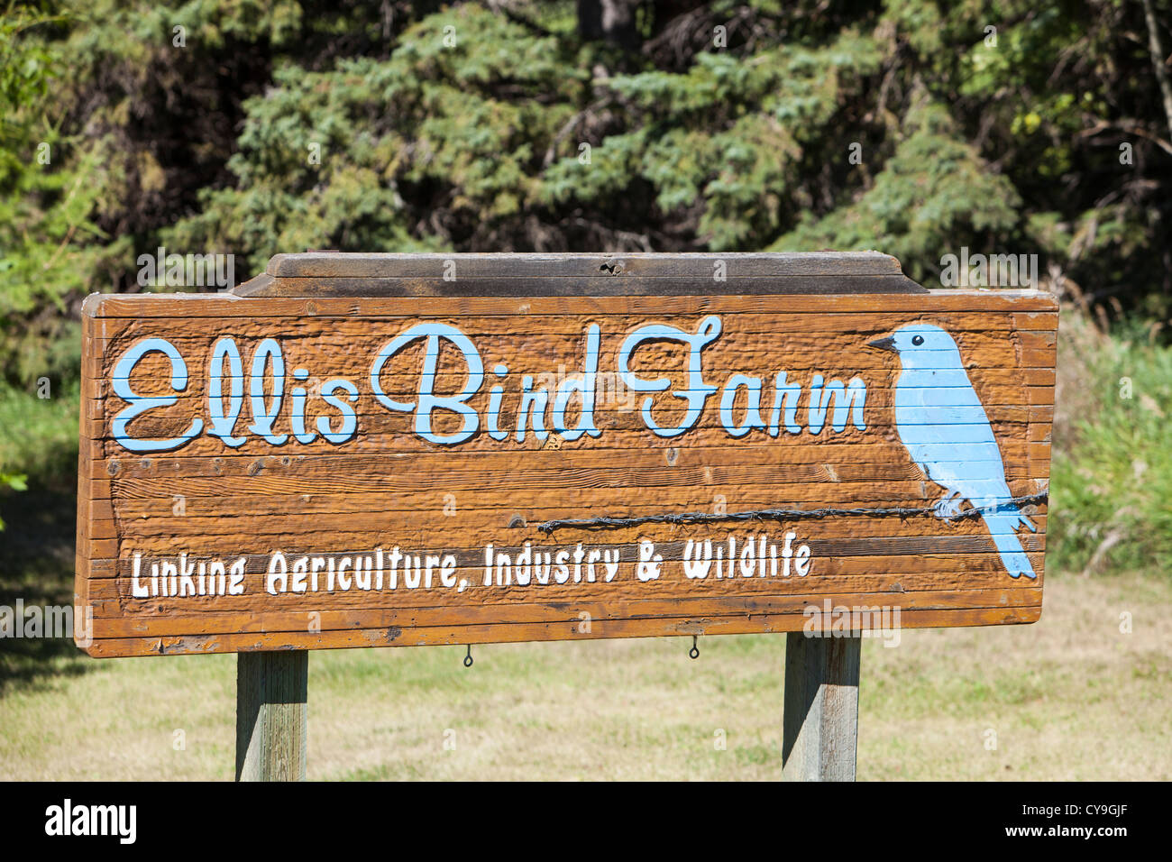 Ellis Bird Farm in Alberta, Canada, famous for its density of nesting