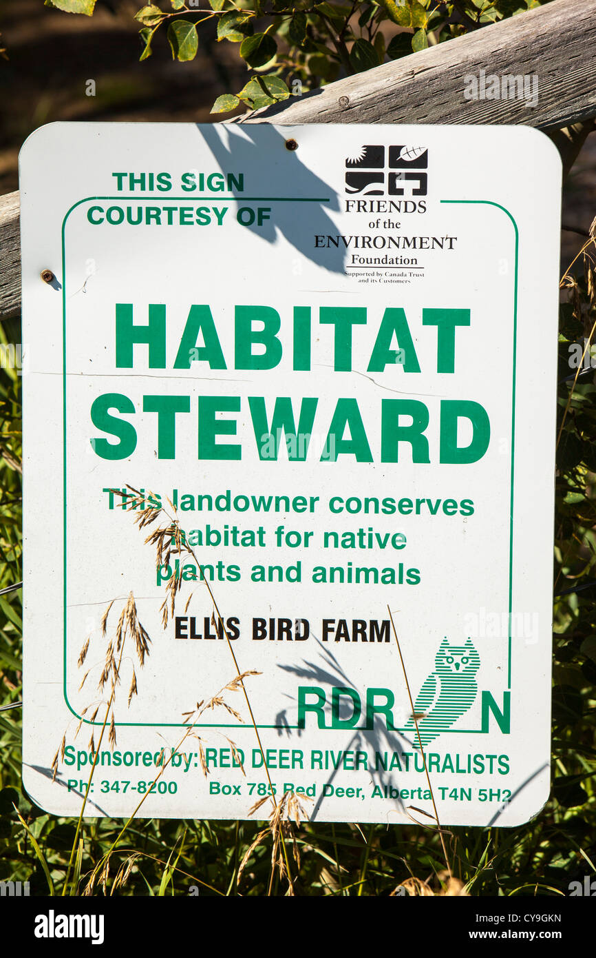 Ellis Bird Farm in Alberta, Canada, famous for its density of nesting