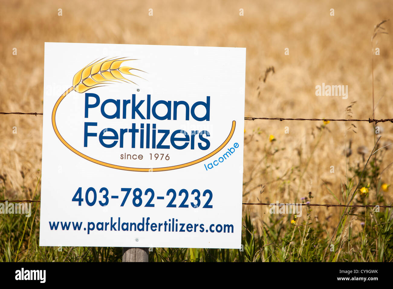 A field of Wheat in Alberta, Canada, near Lacombe, with an advert for the fertilizer used. Stock Photo