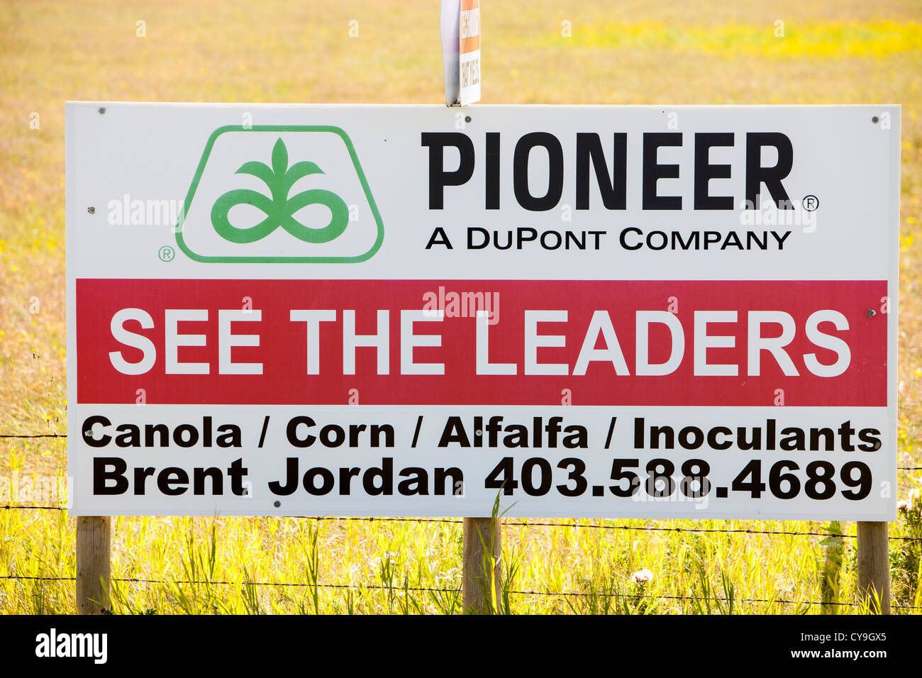 A field of Wheat in Alberta, Canada, near Lacombe, with an advert for the pesticide used. Stock Photo