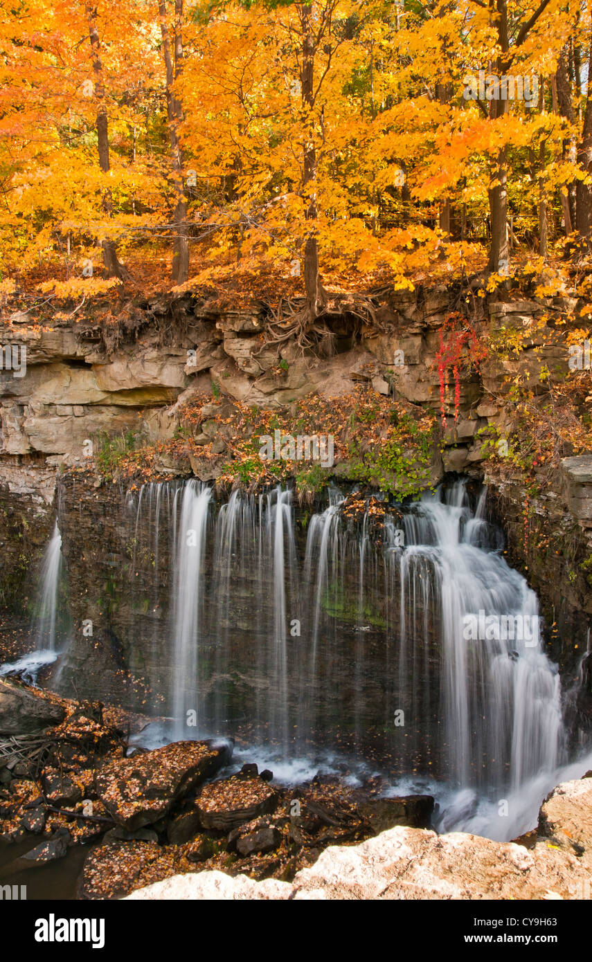 Ball's falls in southern Ontario with dreamy waterfall and full autumn colors Stock Photo