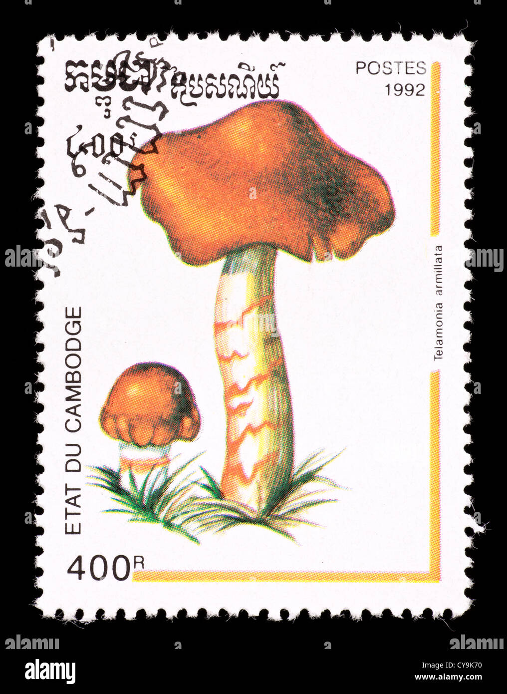 Postage stamp from Cambodia depicting mushrooms (Telamonia armillata) Stock Photo