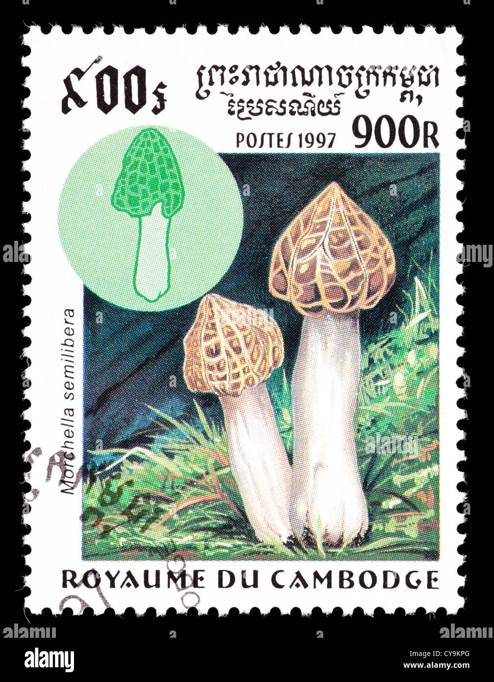Postage stamp from Cambodia depicting half-free morel mushrooms (Morchella semilibera) Stock Photo