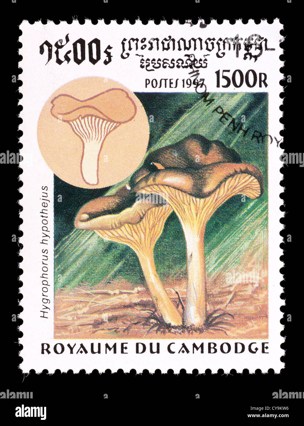 Postage stamp from Cambodia depicting mushrooms (Hygrophorus hypothejus) Stock Photo