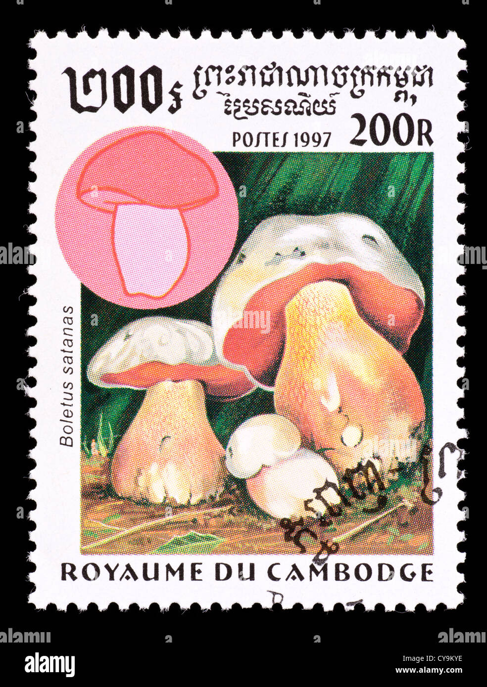 Postage stamp from Cambodia depicting a boleta mushroom (Boletus satanas) Stock Photo
