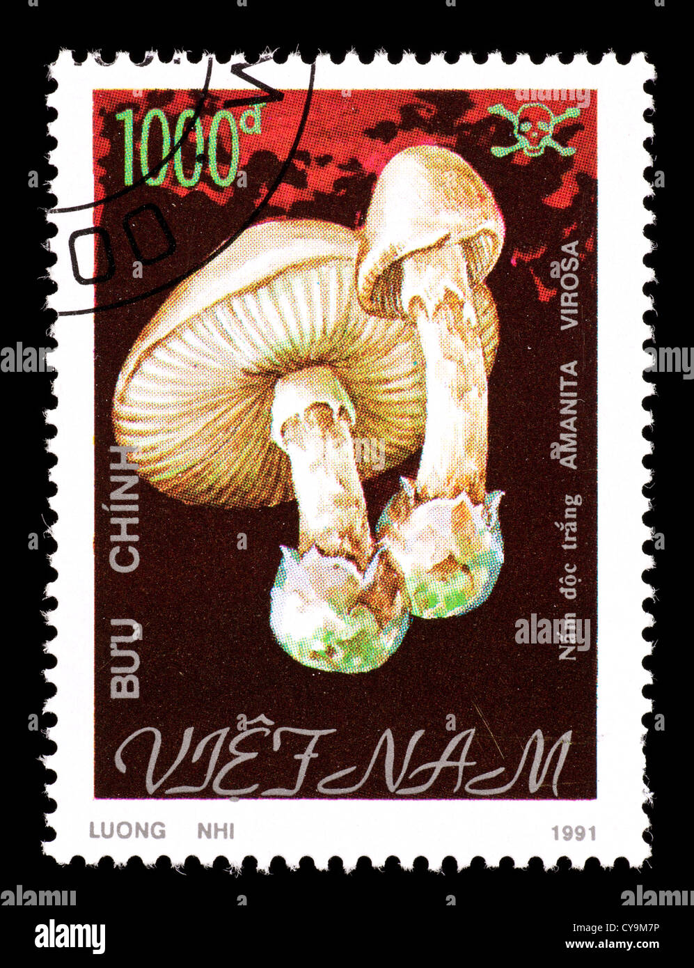 Postage stamp from Vietnam depicting a European destroying angel (Amanita virosa) Stock Photo