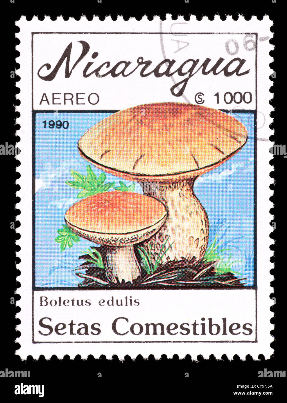 Postage stamp from Nicaragua depicting a mushroom (Boletus edulis Stock ...