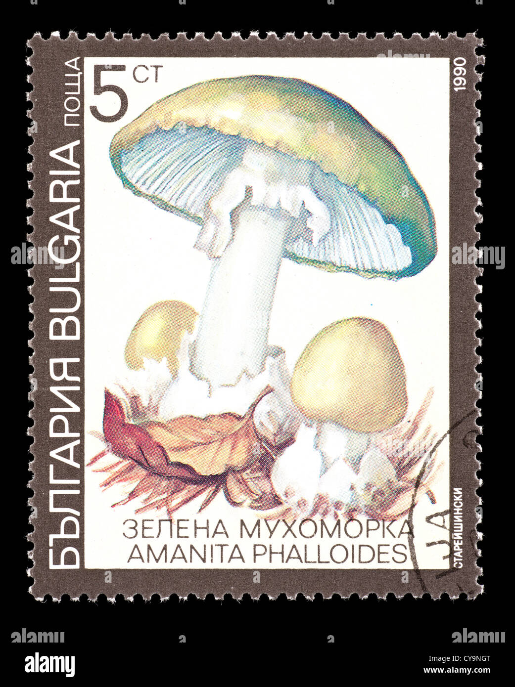 Postage stamp from Bulgaria depicting a mushroom (Amanita phalloides