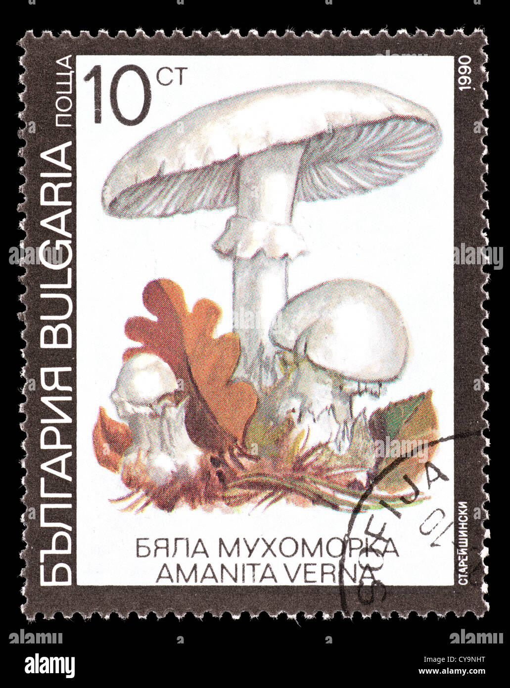 Postage stamp from Bulgaria depicting a mushroom (Amanita verna Stock ...