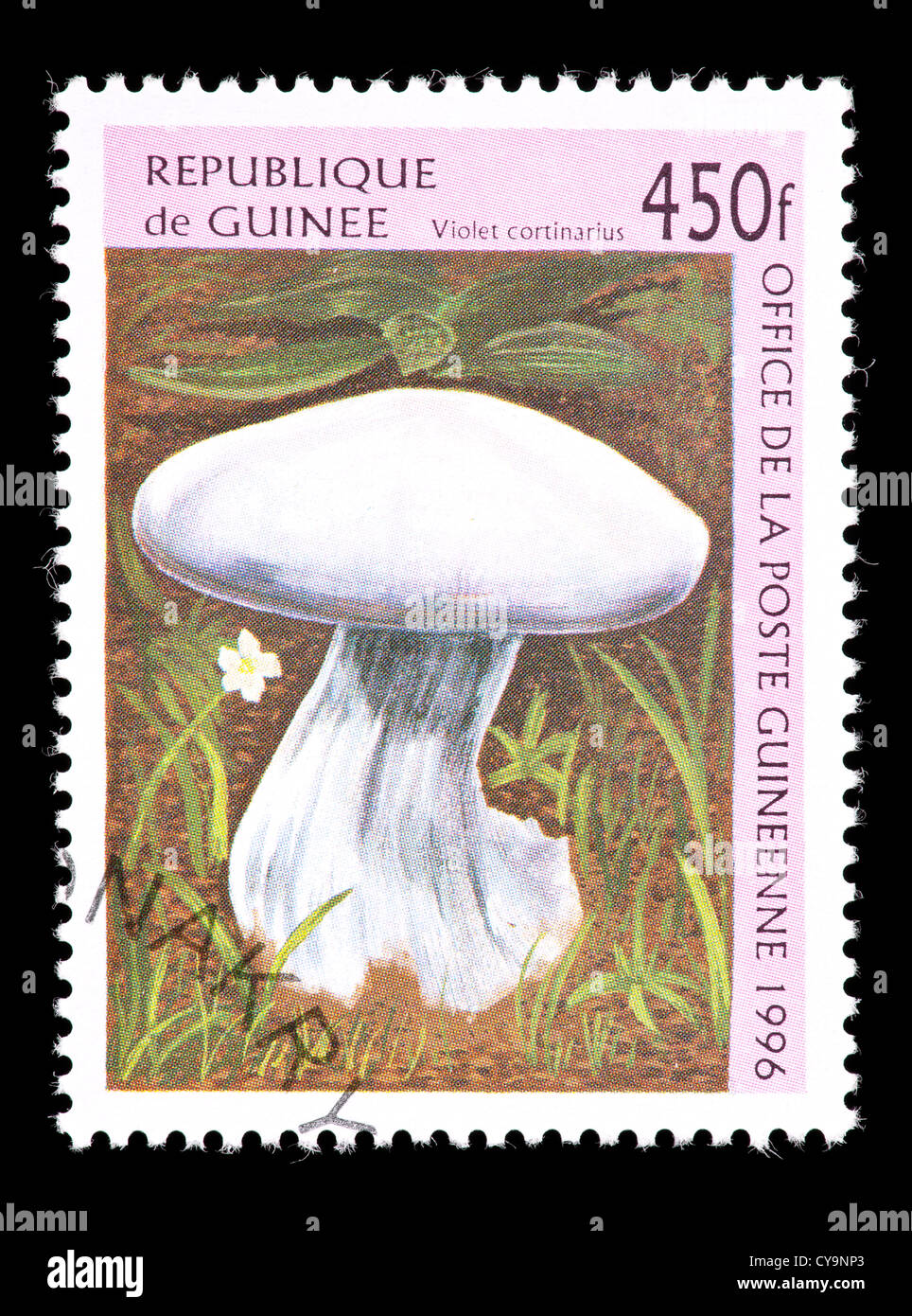 Postage stamp from Guinea depicting Violet cortinarius mushroom. Stock Photo