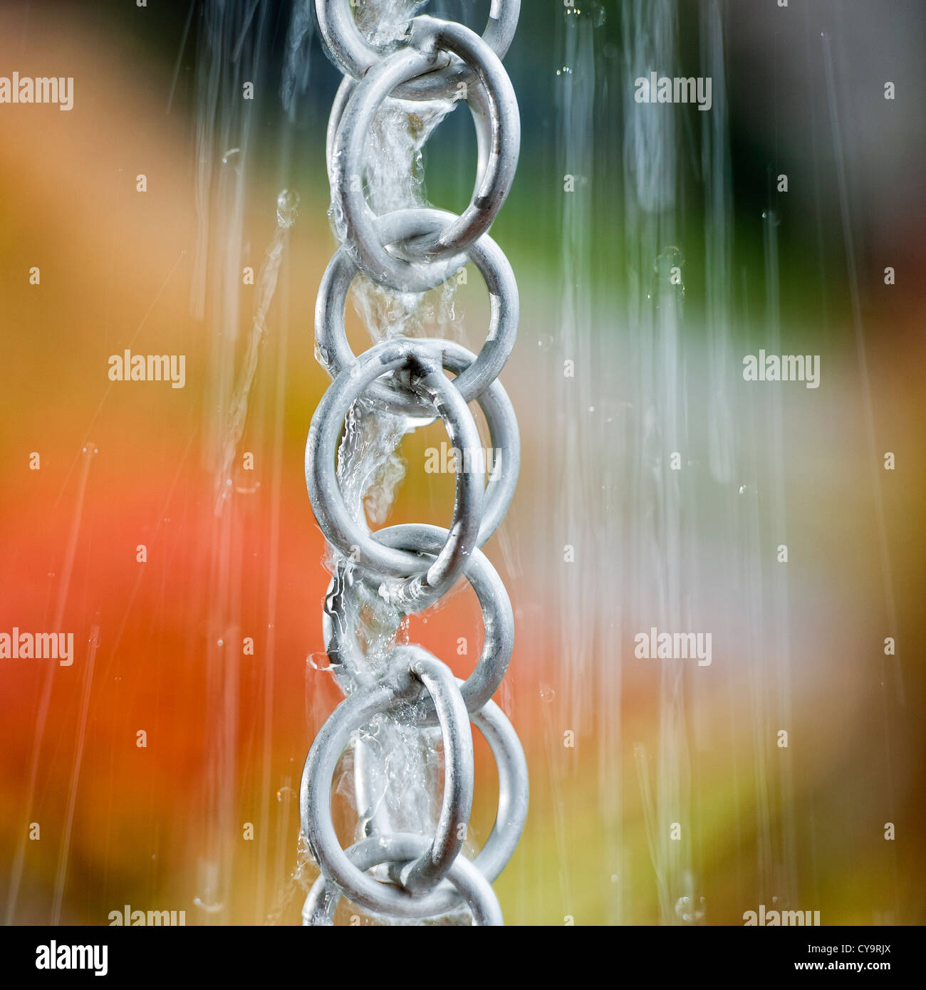Rainwater from a household roof gushes down a rain chain during a storm.  Square format. Stock Photo