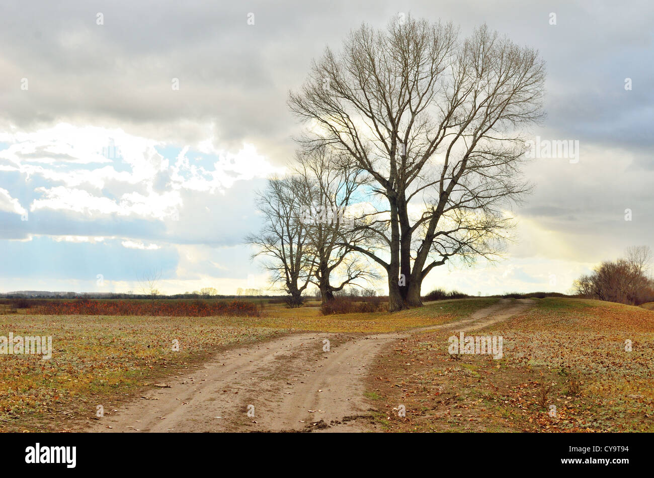 autumn road and cloudy sky Stock Photo - Alamy