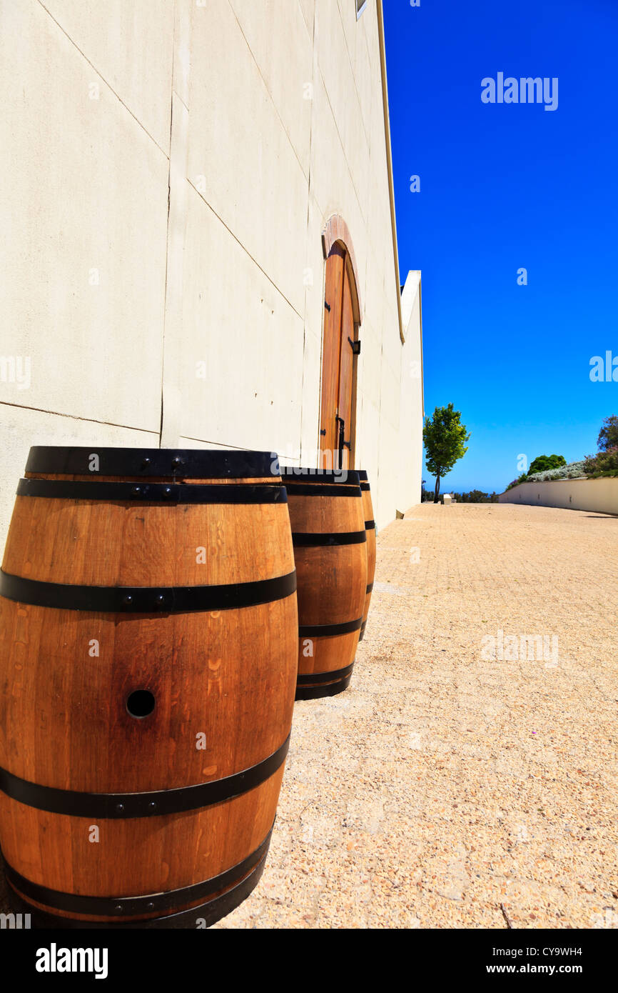 Oak wine barrels along a wall at a wine farm near Cape Town South