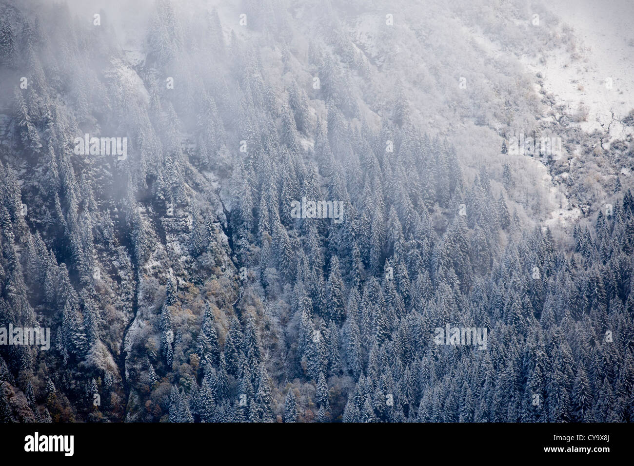 Autumn is meeting Winter in the French Alps, Chaine des Aravis, Grand Bornand, France Stock Photo