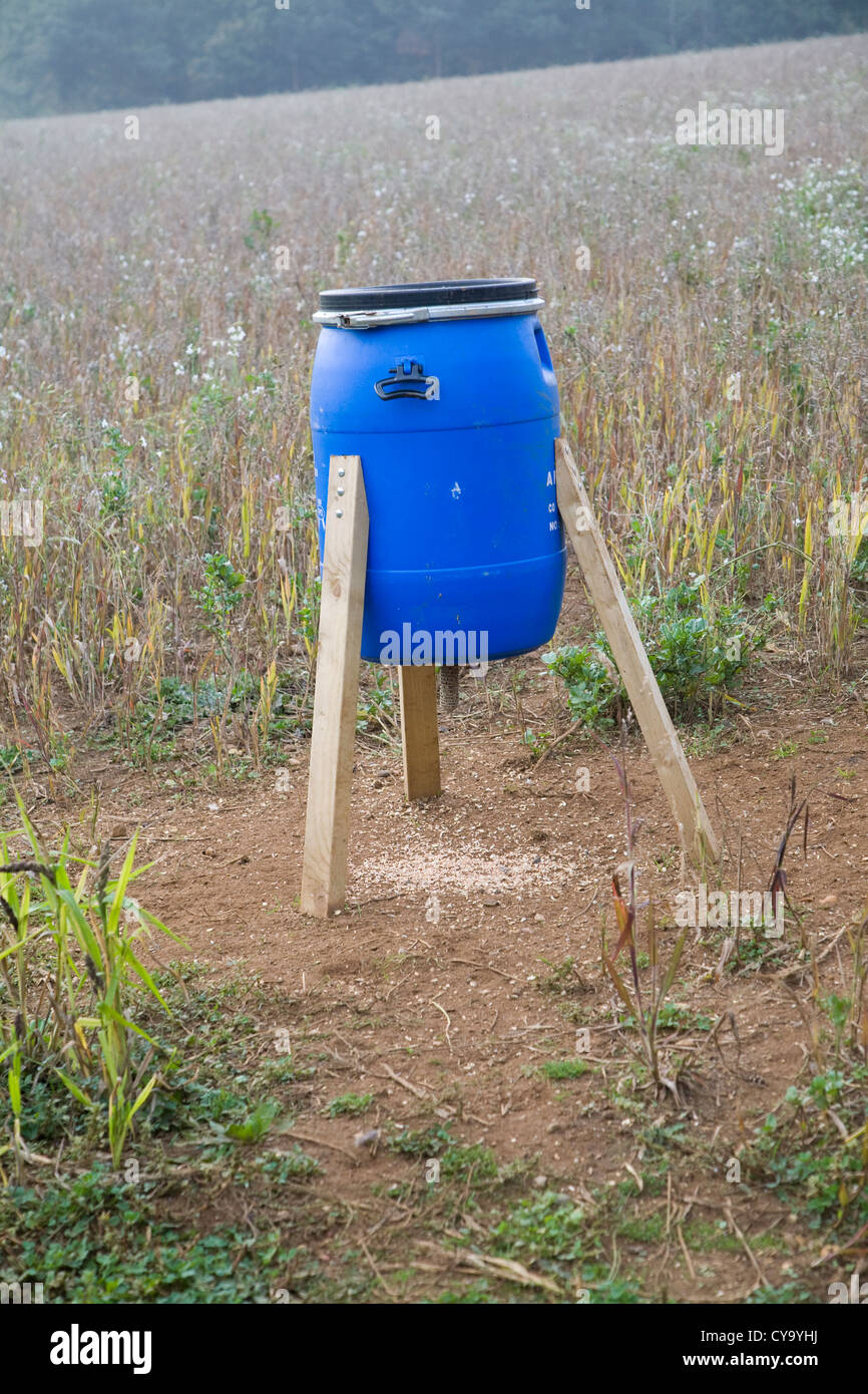 Blue barrel bird feeder in field Ramsholt Suffolk England Stock Photo