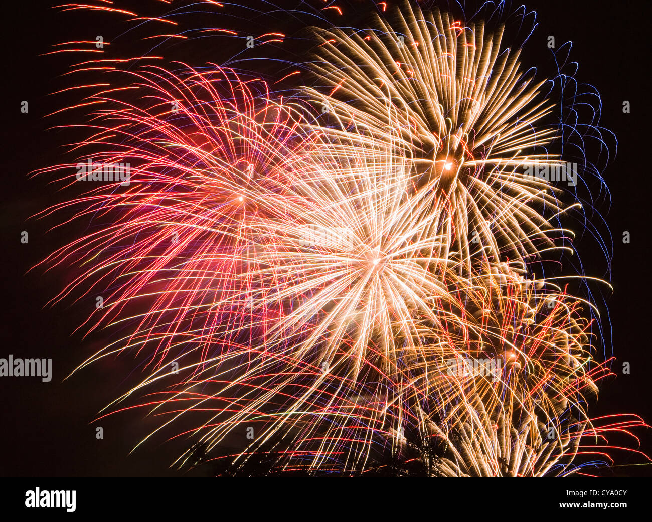 Fireworks. Stock Photo