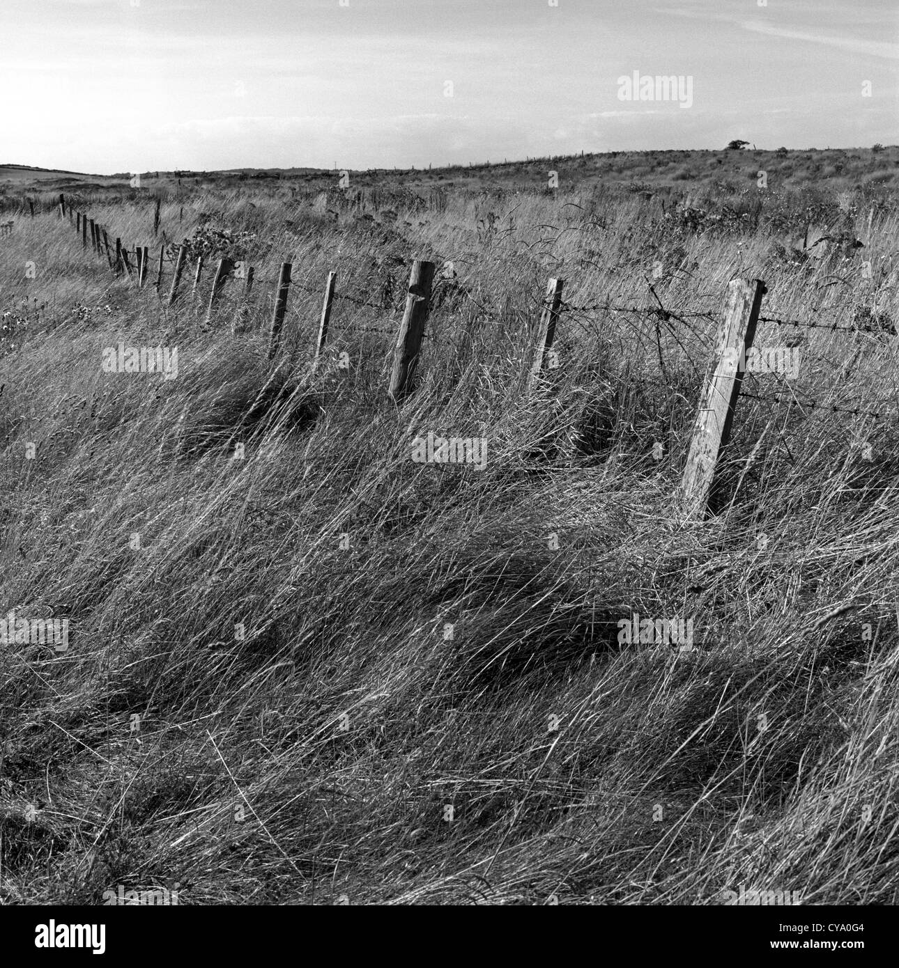 Fence, Kearney Point, Co Down, Northern Ireland Stock Photo Alamy