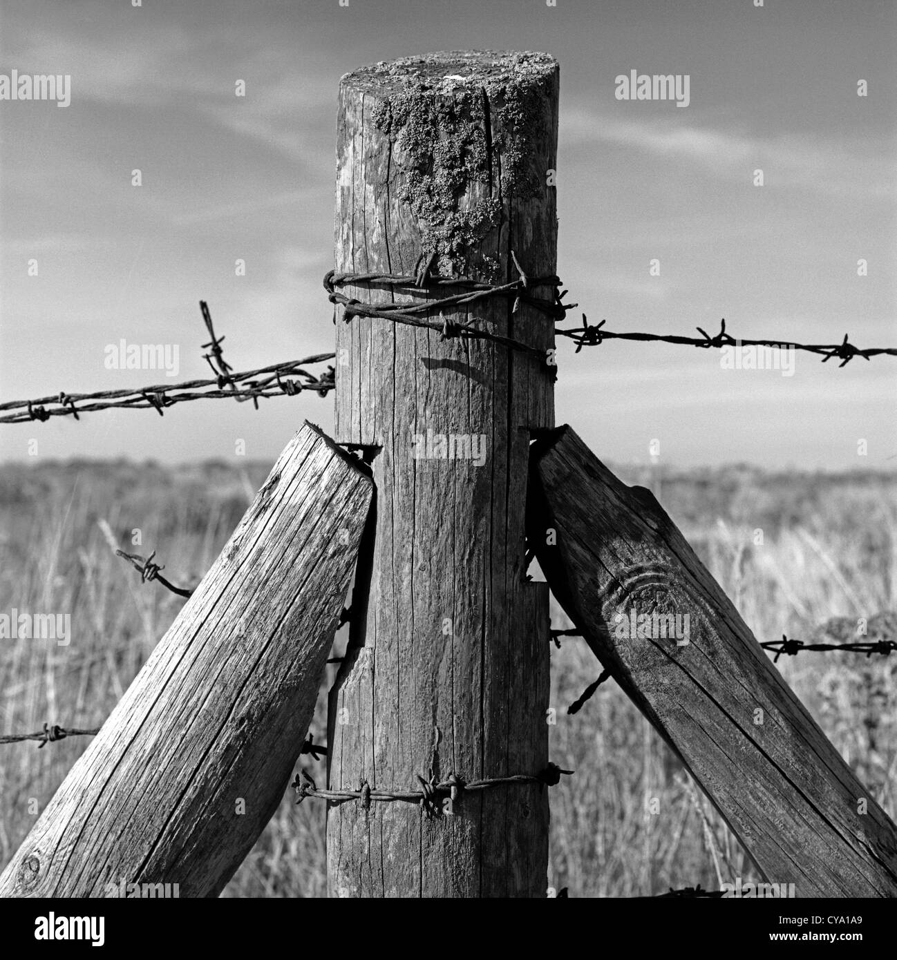 Fence Post, Kearney Point,, Co Down, Northern Ireland Stock Photo Alamy