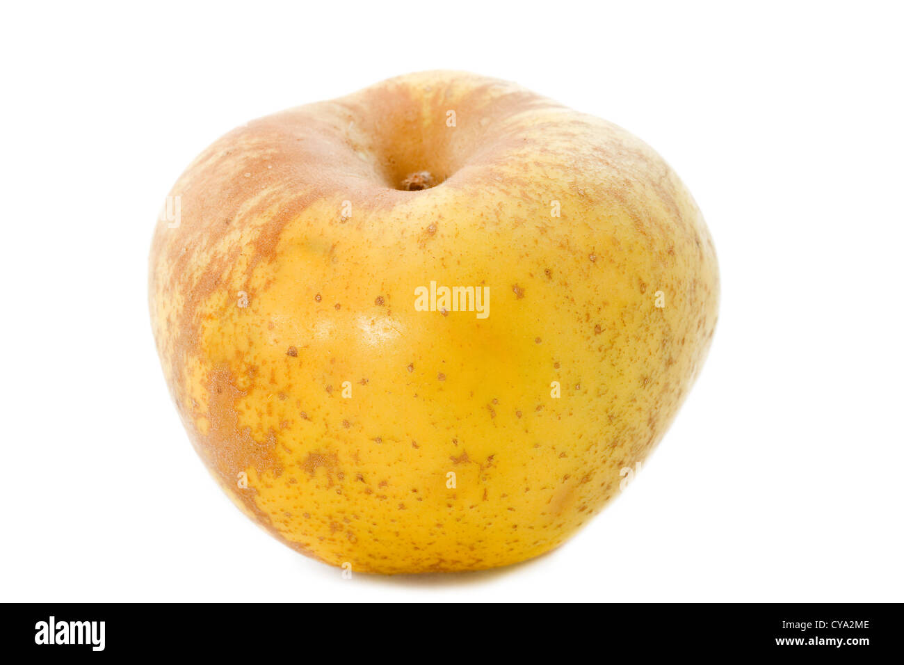 Golden russet apple in front of white background Stock Photo