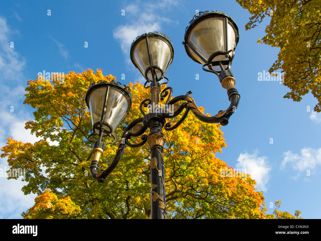 Victorian style street lamp Stock Photo