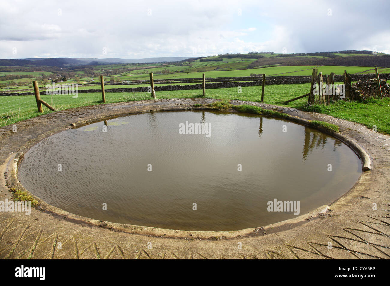 A dew pond restoration scheme in the White Peak area of the Peak District National Park near Monsal Dale Derbyshire England UK Stock Photo