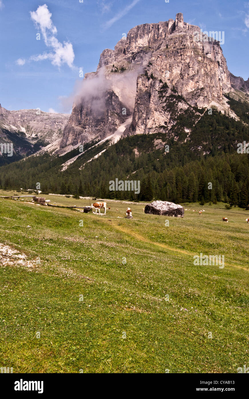 Vallunga mountain valley with mountain meadow, feeding cows, peaks and blue sky with clouds in Dolomites near Selva di Val Gardena in South Tyrol Stock Photo