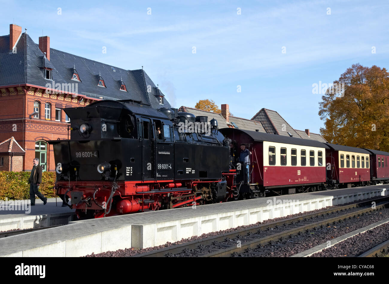 Harzer Schmalspurbahnen service steam train standing at Gernrode station on the Selketalbahn line with a train for Quedlinburg, Stock Photo