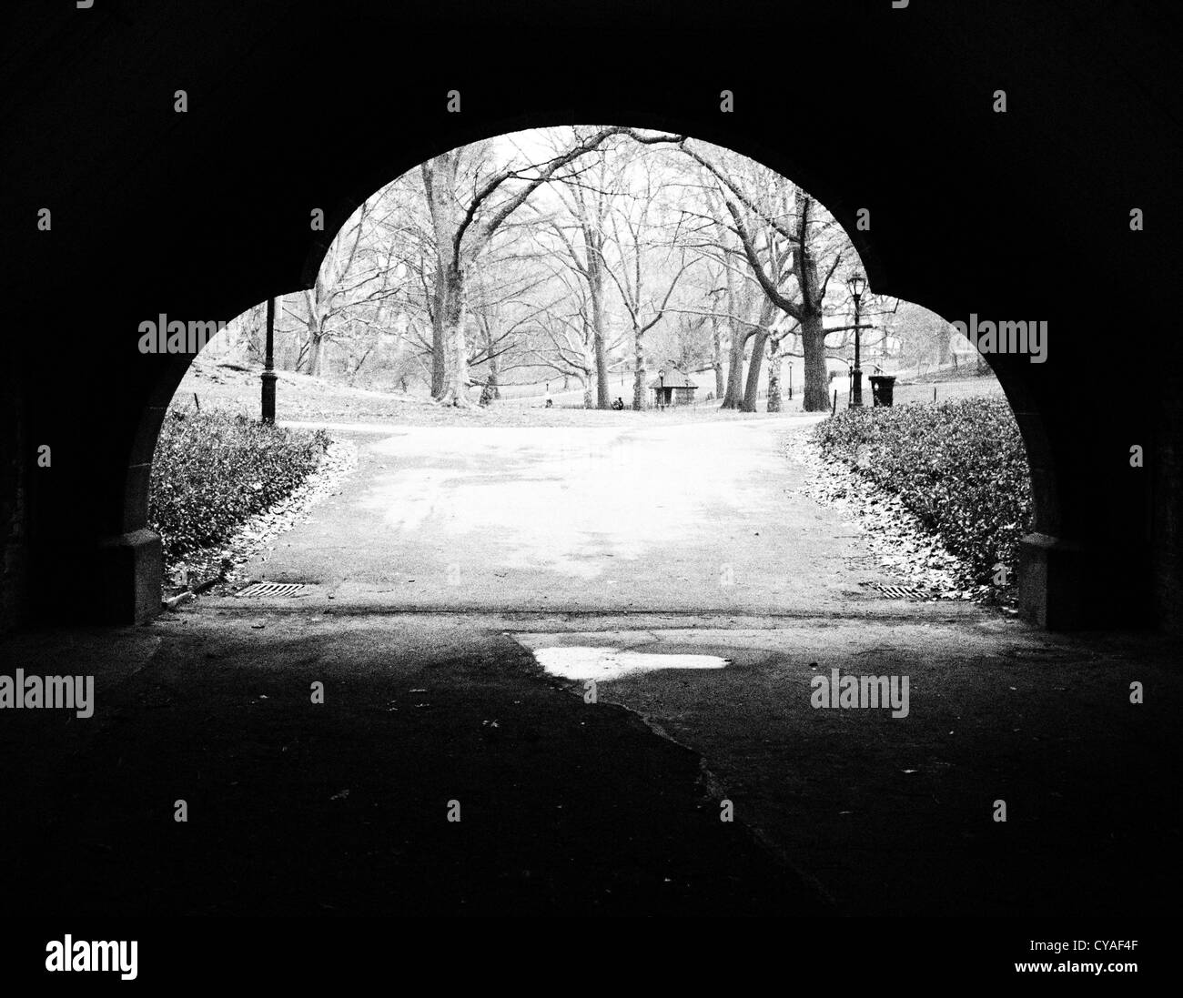 Tunnel in Central Park Stock Photo Alamy