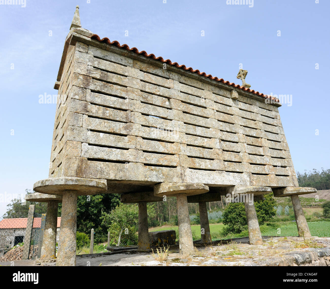 An horreo, a traditional north-western Spanish  grain store in the Galician style, This granary is made from stone and is raised Stock Photo