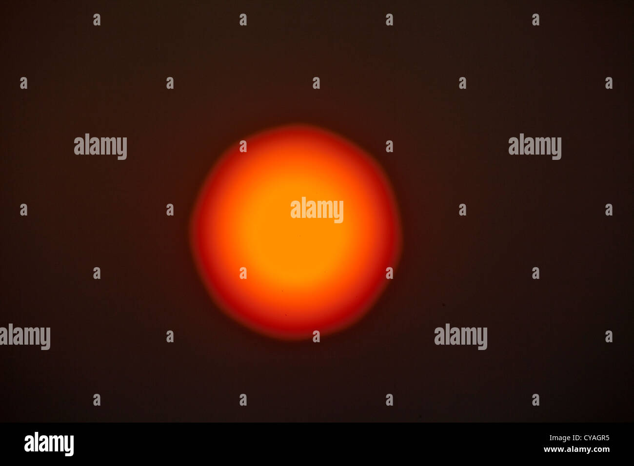 Bright red and gold Rising sun early morning Washington State Stock