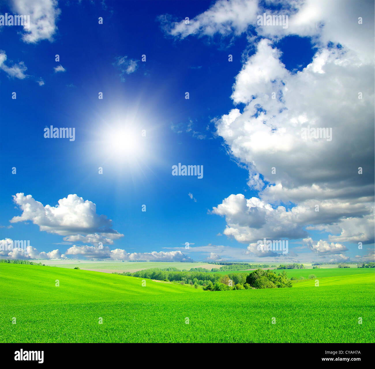 green field and blue sky Stock Photo - Alamy