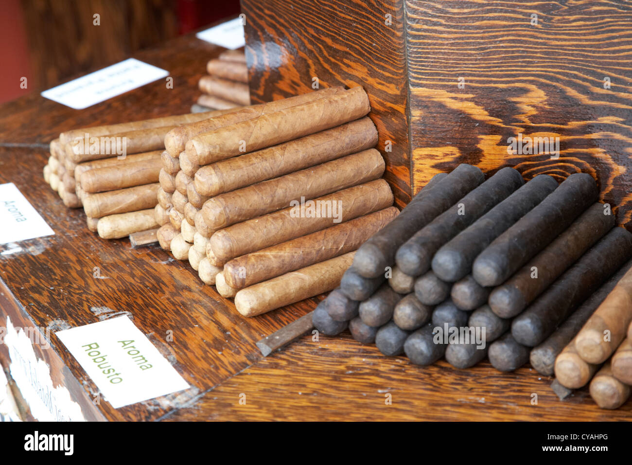 cuban style cigars on sale in a shop in key west florida usa Stock