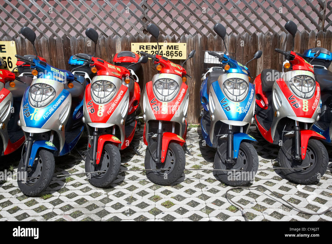 scooter rentals for hire key west florida usa Stock Photo Alamy