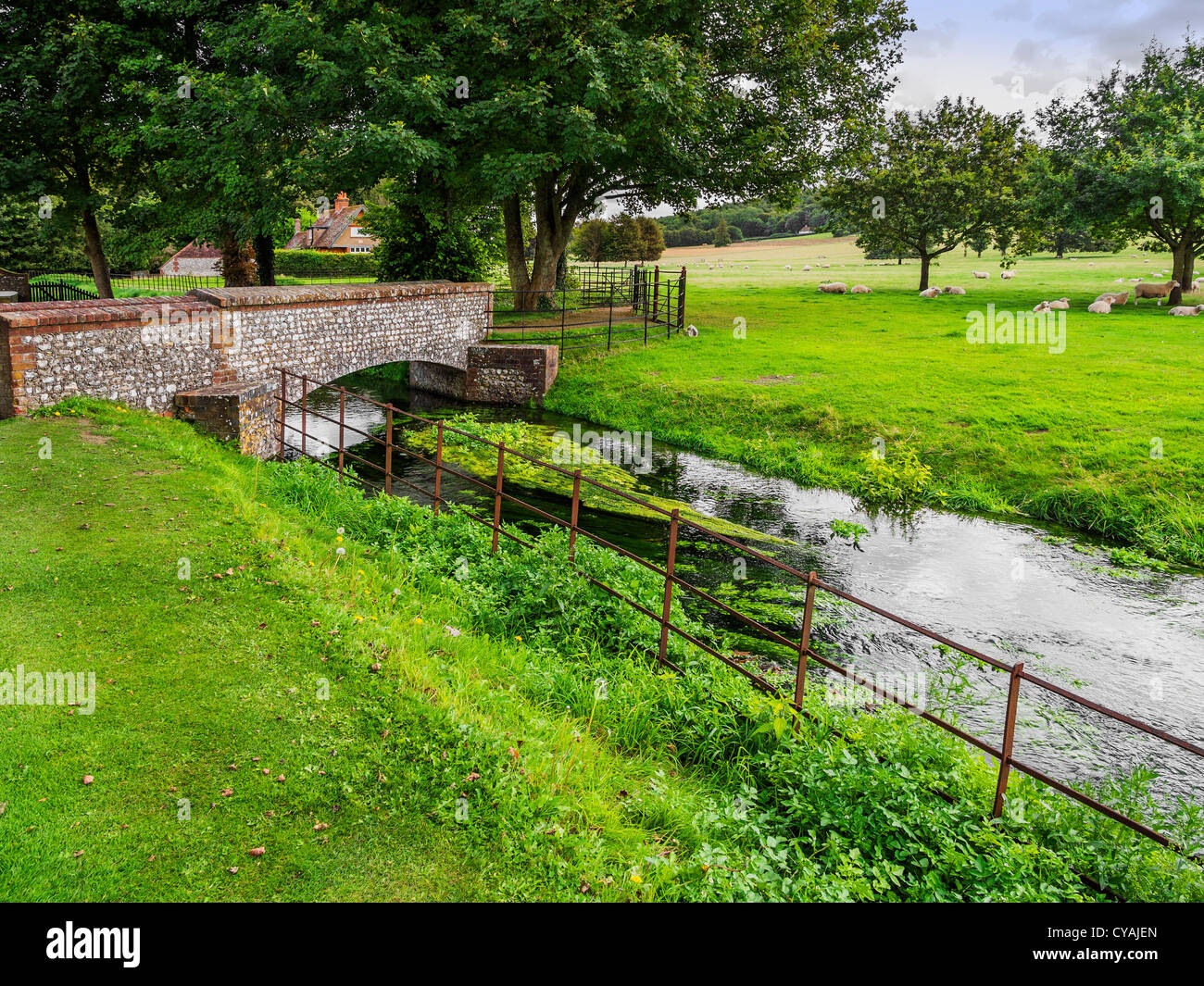 west dean gardens and estate, west sussex, sussex, england uk Stock