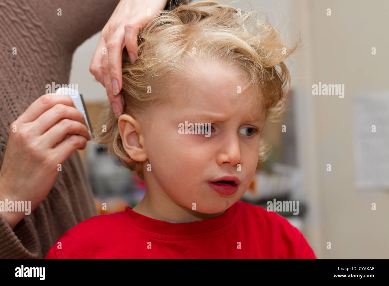 Combing a sad looking four year old boy's hair for nits Stock Photo