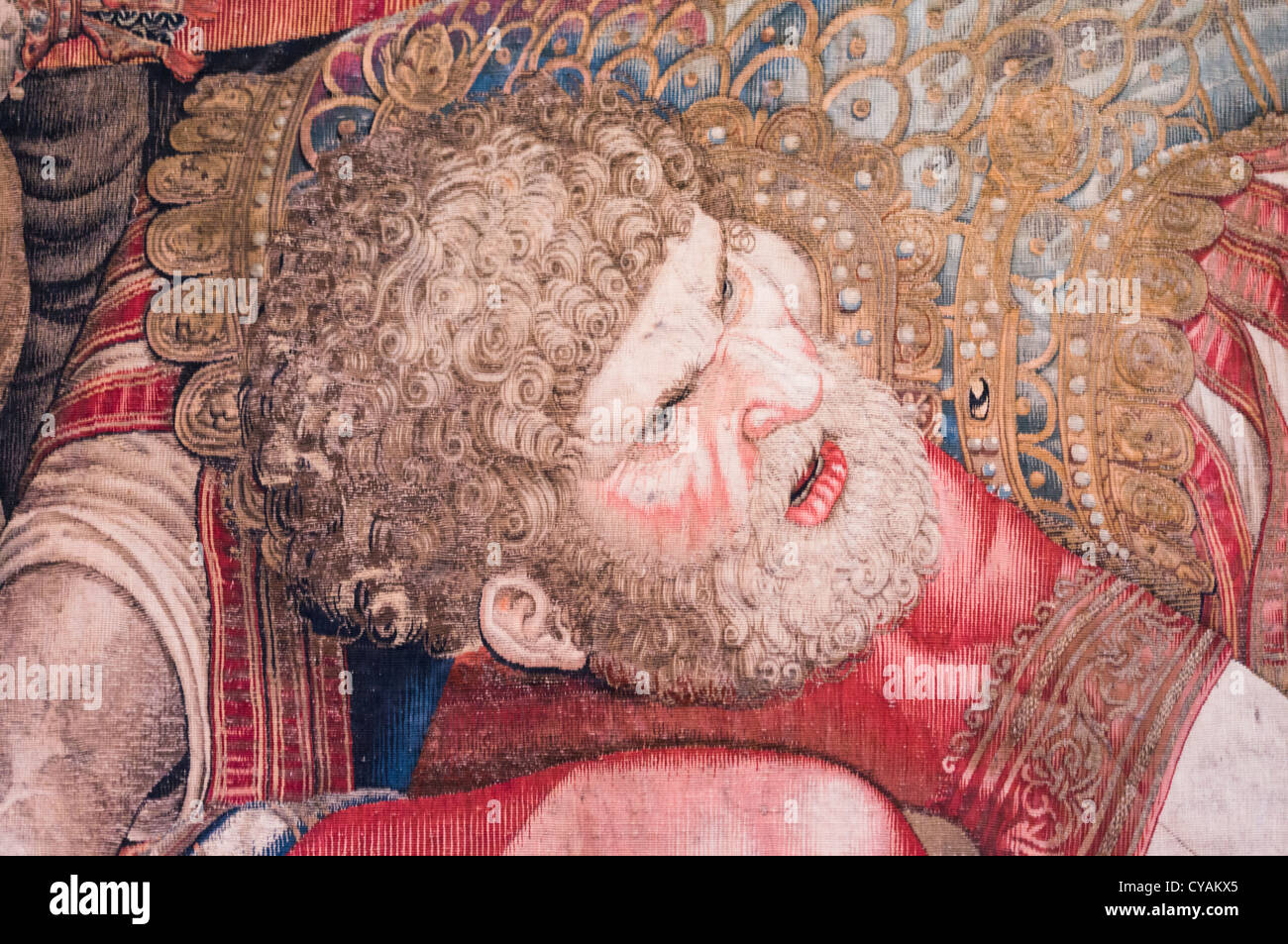 DETAIL, GALLERY OF TAPESTRIES, VATICAN MUSEUM, ROME Stock Photo