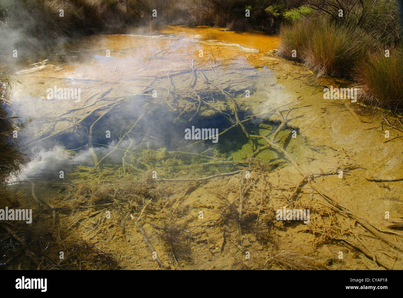Thermal Pools at Tokaanu, Turangi, New Zealand Stock Photo