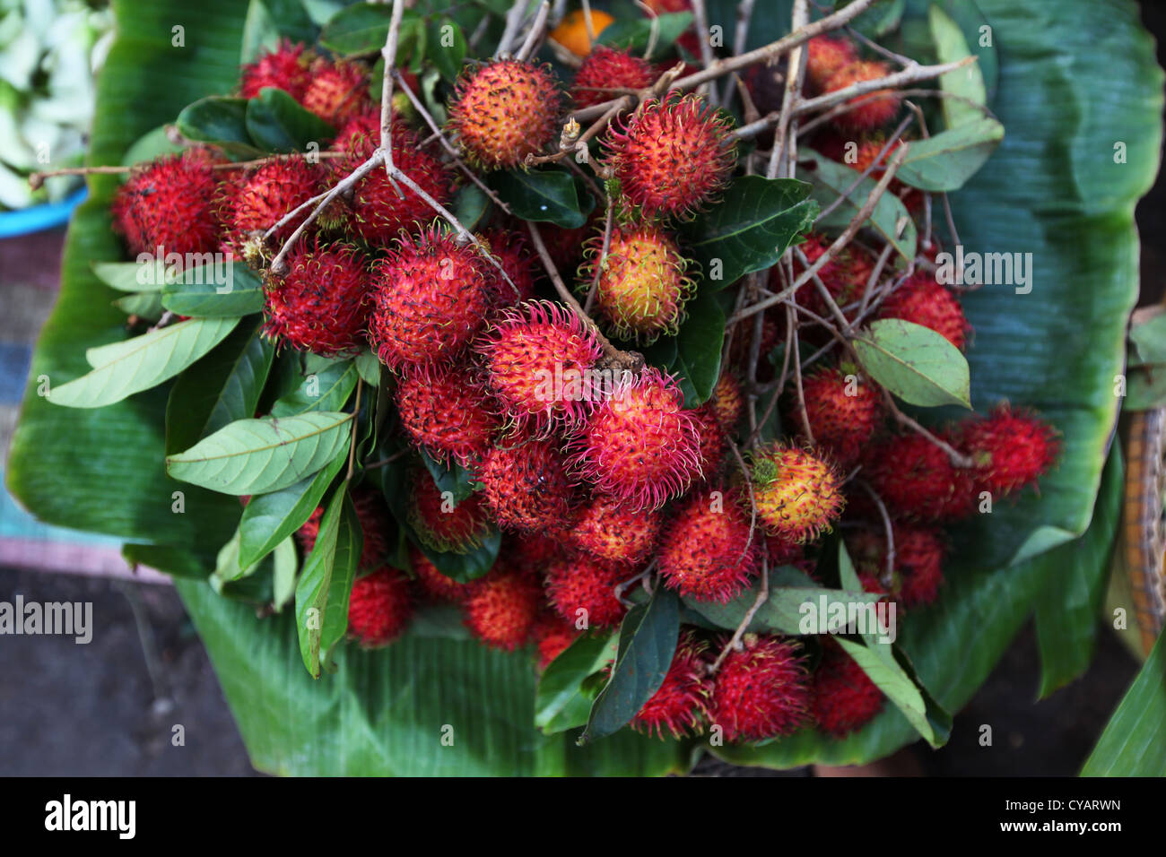 Rambutan fruit hi-res stock photography and images - Alamy