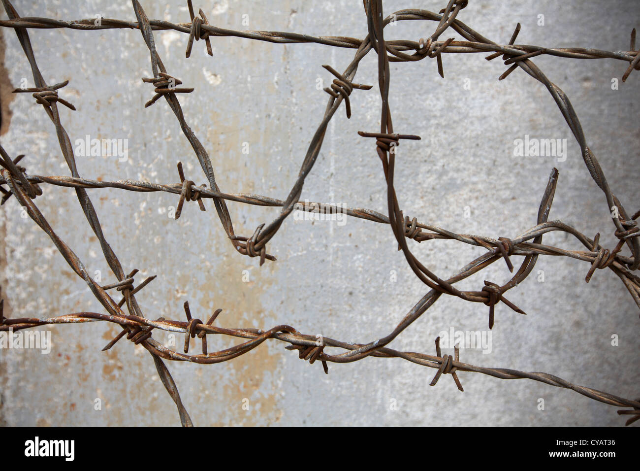 Barbed wire rusted against the wall in the prison Stock Photo