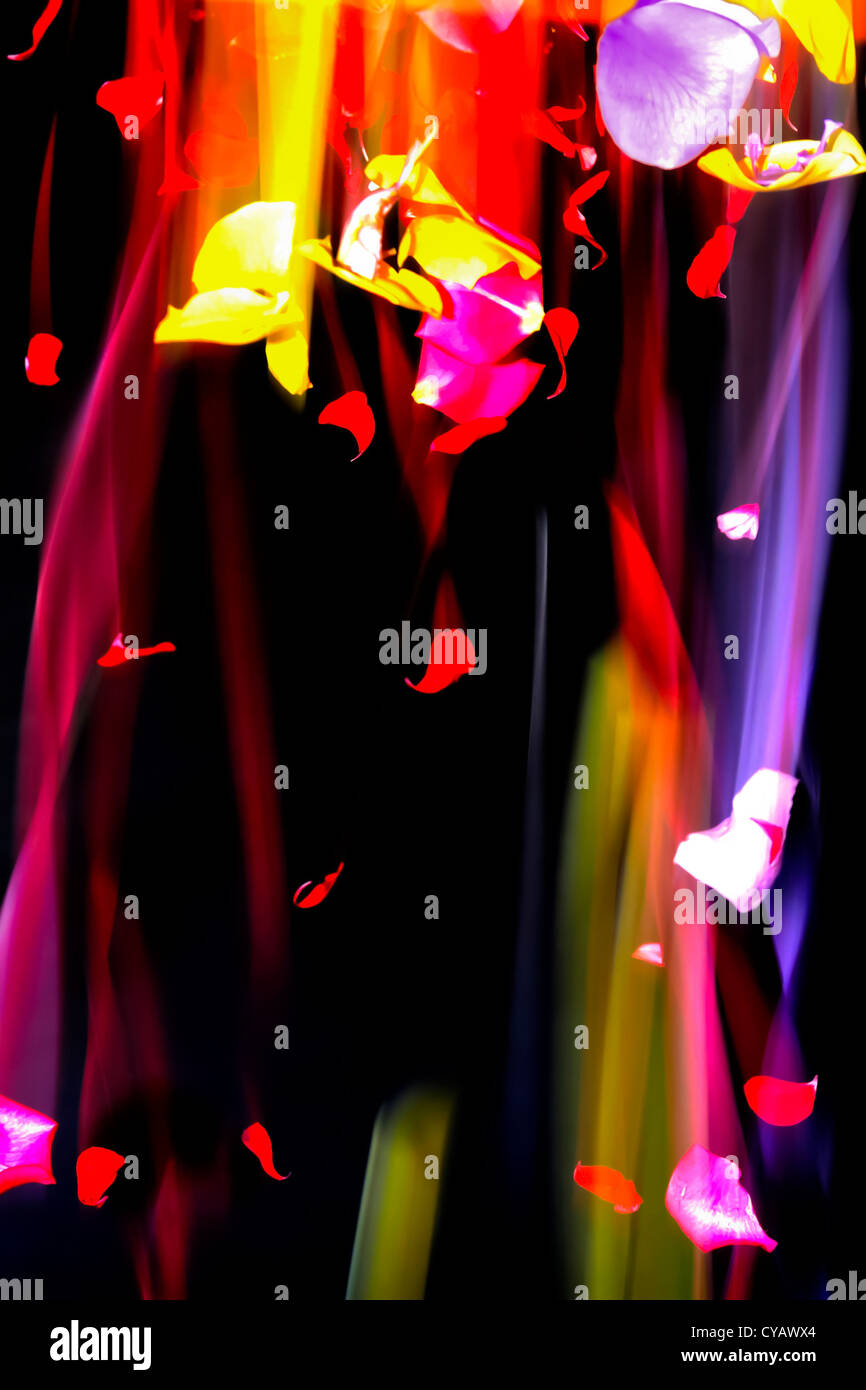 Falling flower petals Stock Photo Alamy