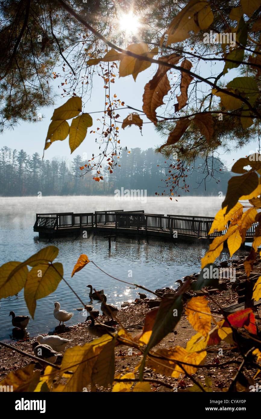 Lake Julian Park Fishing Pier Arden, North Carolina USA Stock Photo