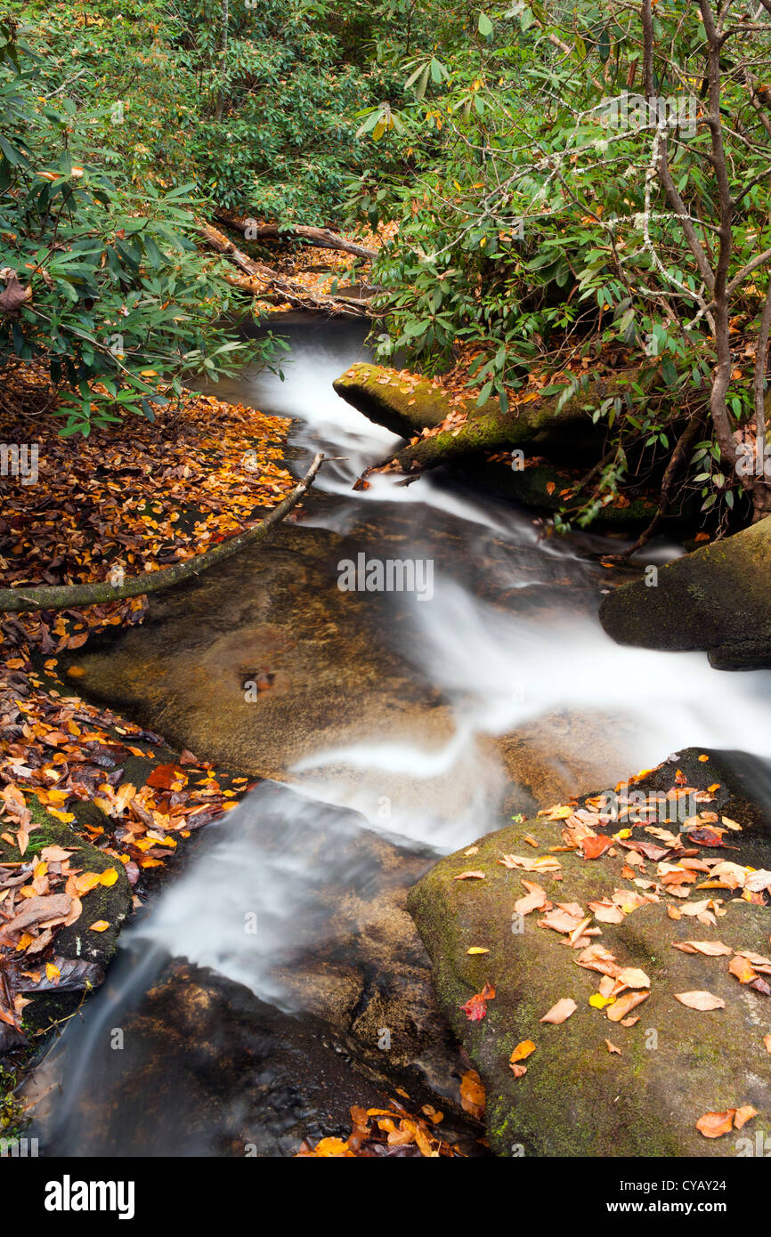 Cedar Rock Falls Pisgah National Forest near Brevard, North