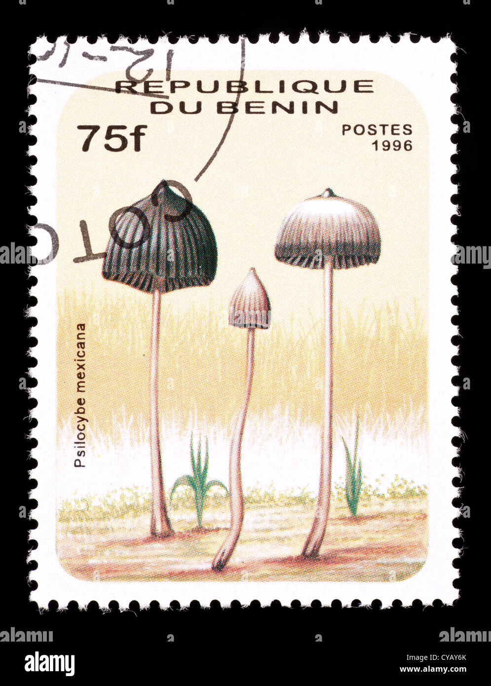 Postage stamp from Benin depicting a mushroom (Psilocybe mexicana) Stock Photo