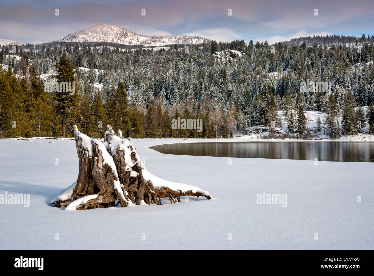 Winter snow blankets the banks of a lake Stock Photo